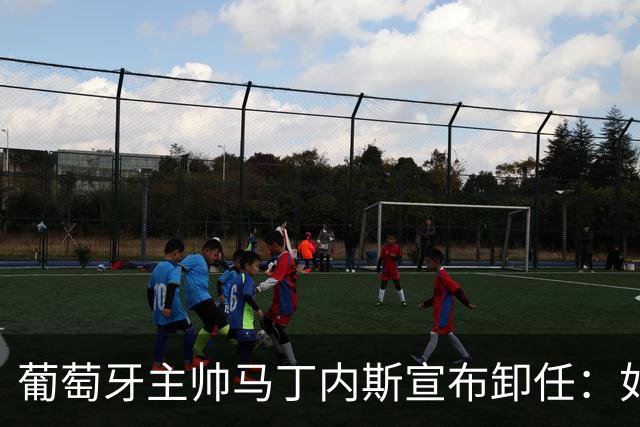 葡萄牙主帅马丁内斯宣布卸任：如果不能夺冠，留在这里就没有意义