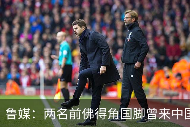 鲁媒：两名前佛得角国脚曾来中国踢球，里卡多效力泰山25场1球